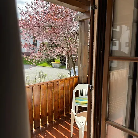 アパート Pool Sauna Netflix Bike Parking Wifi Ytpremium ツヴィーゼル
