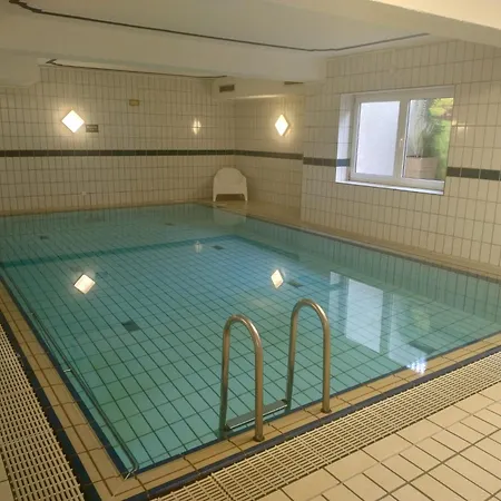 Pool Sauna Netflix Bike Parking Wifi Ytpremium ツヴィーゼル
