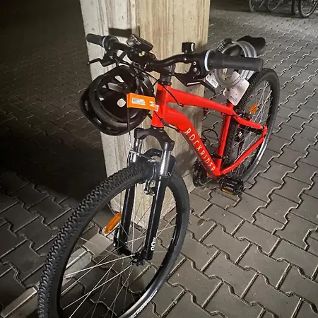 Pool Sauna Netflix Bike Parking Wifi Ytpremium アパート ツヴィーゼル