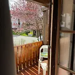 Apartman Pool Sauna Netflix Bike Parking Wifi Ytpremium Zwiesel