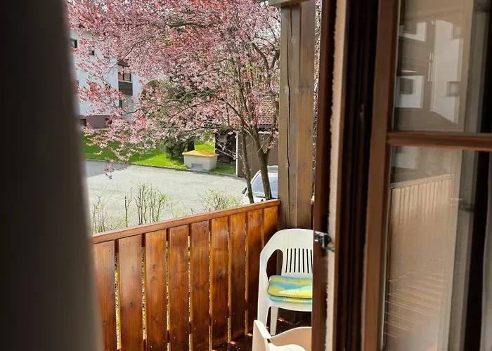 公寓 Pool Sauna Netflix Bike Parking Wifi Ytpremium 茨维泽尔
