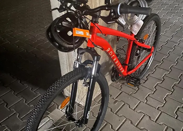 Pool Sauna Netflix Bike Parking Wifi Ytpremium 公寓 茨维泽尔
